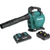 Blower Kit